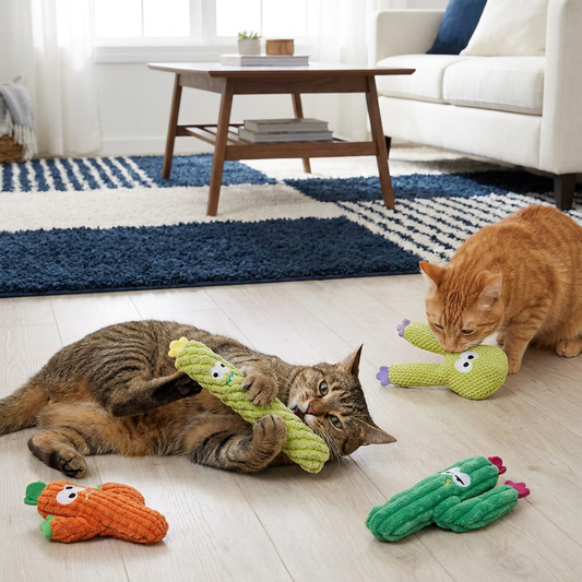 Catnip-Filled Cactus Teeth Cleaning Cat Toy