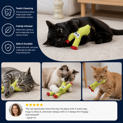 Catnip-Filled Cactus Teeth Cleaning Cat Toy
