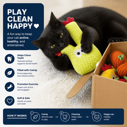 Catnip-Filled Cactus Teeth Cleaning Cat Toy