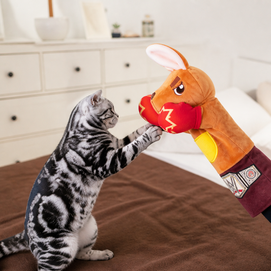 Interactive Kangaroo Boxing Hand Puppet Cat Toy