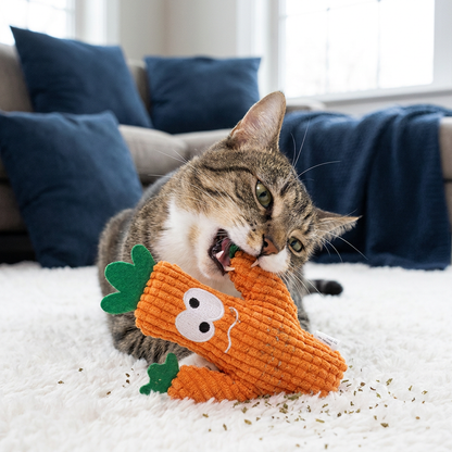 Catnip-Filled Cactus Teeth Cleaning Cat Toy