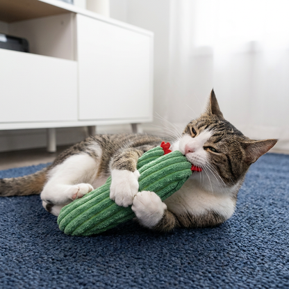 Catnip-Filled Cactus Teeth Cleaning Cat Toy