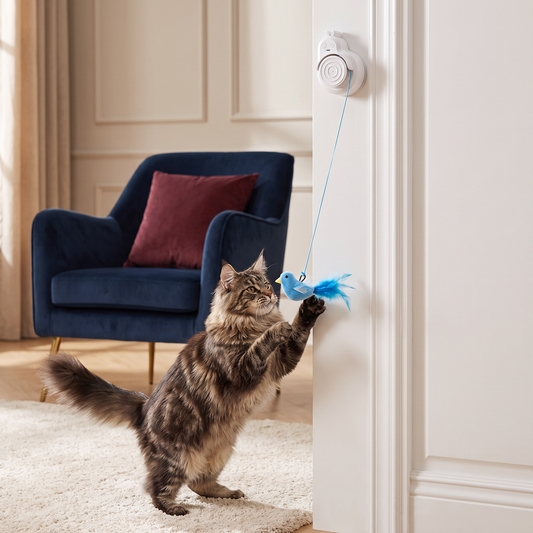 Automatic Flying Bird Cat Toy – Rechargeable Interactive Hanging Teaser