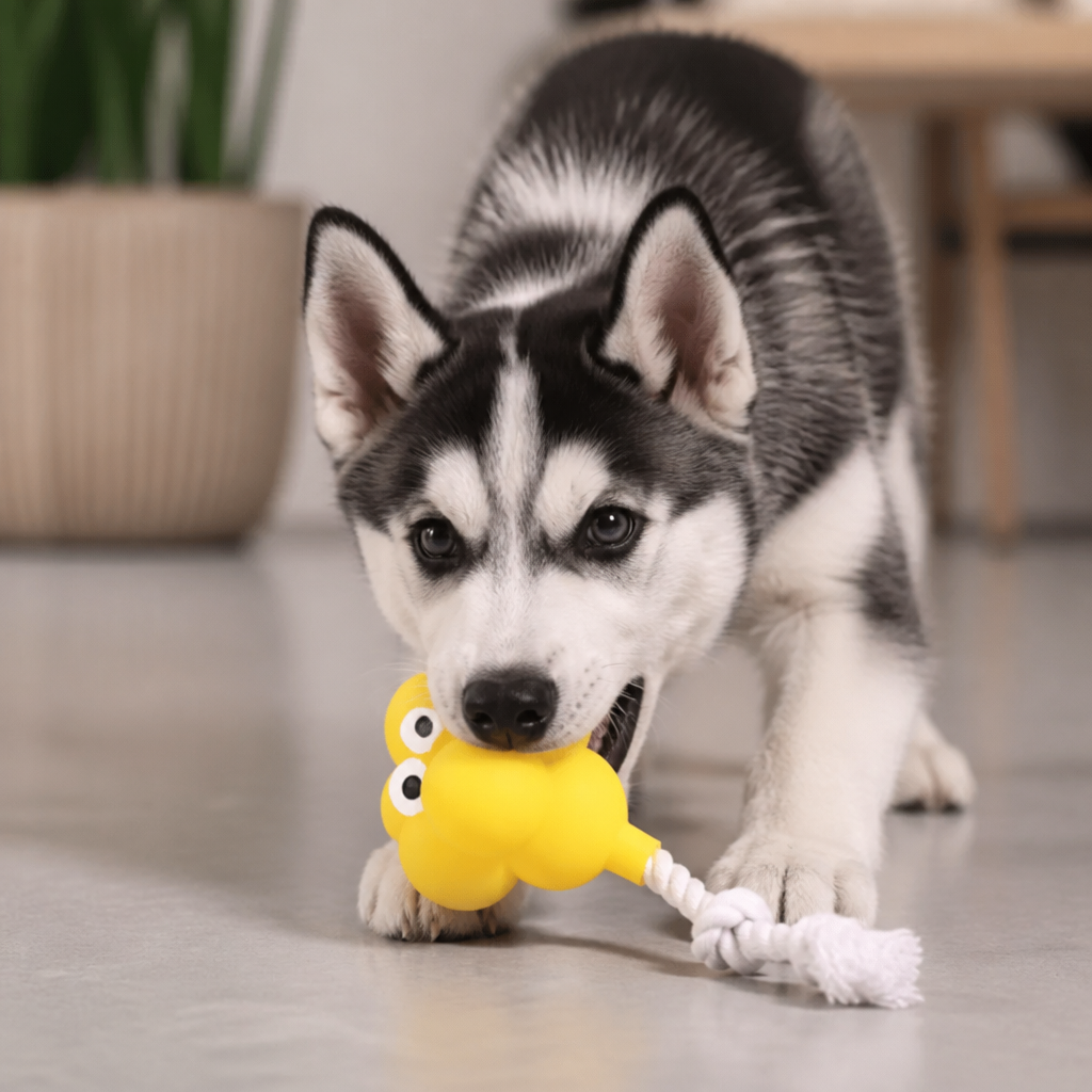 Interactive Chew & Squeak Puppy Toy