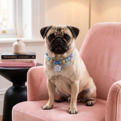 Cute collar with insect repellent for dogs