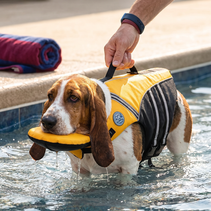 Dog Safety Swim Vest with Rescue Handle