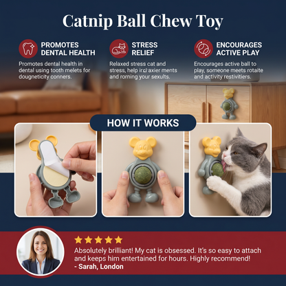 Catnip Ball Chew Toy