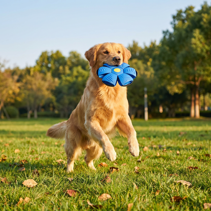 Interactive Flying Fetch Dog Ball