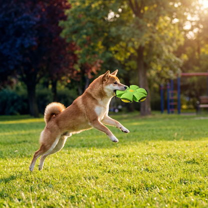 Interactive Flying Fetch Dog Ball