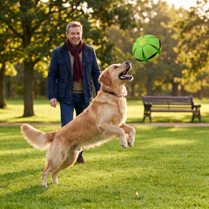 Interactive Flying Fetch Dog Ball