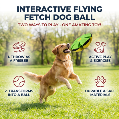 Interactive Flying Fetch Dog Ball