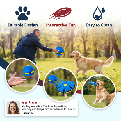 Interactive Flying Fetch Dog Ball