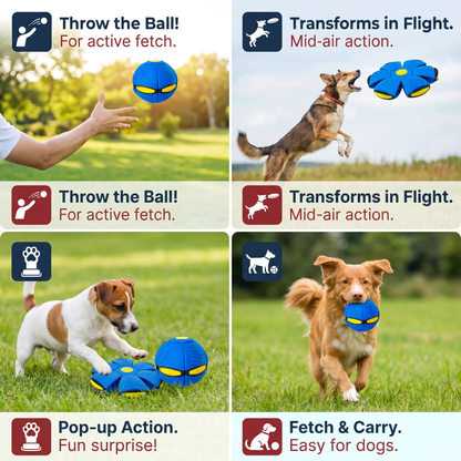 Interactive Flying Fetch Dog Ball