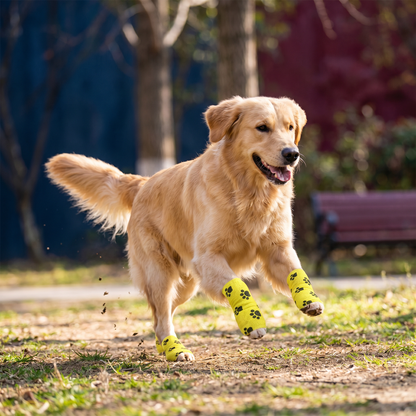 Self-Adhesive Pet Bandage Wrap for Hot Pavement & Snow Protection