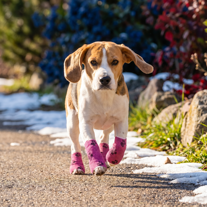 Self-Adhesive Pet Bandage Wrap for Hot Pavement & Snow Protection