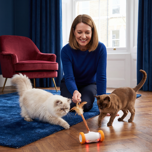 Self-Moving Feather Cat Teaser Toy