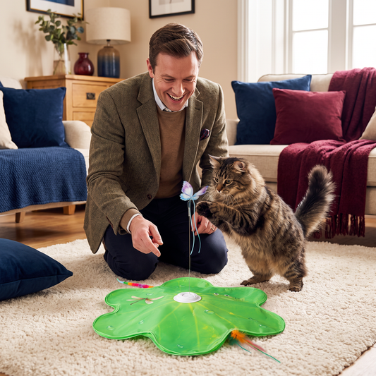 3-in-1 Interactive Butterfly Cat Toy – Play Mat with Butterfly & Feather Teasers