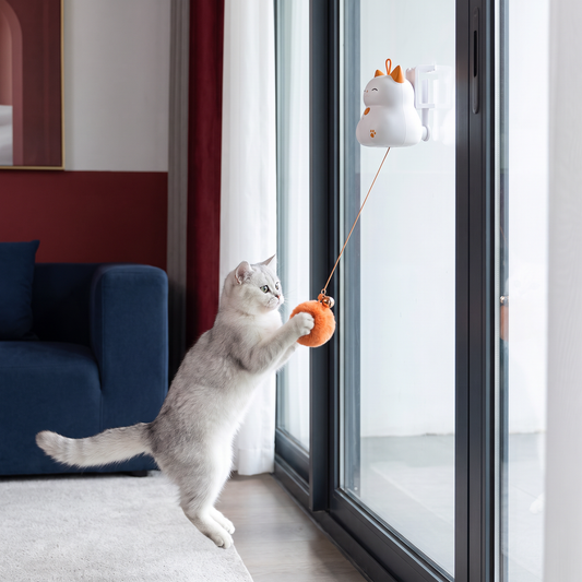 Interactive Rechargeable Cat Toy – Automatic Lifting Pom-Pom Teaser