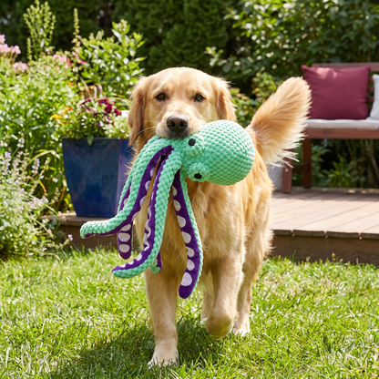Large Octopus Plush Squeaky Dog Toy