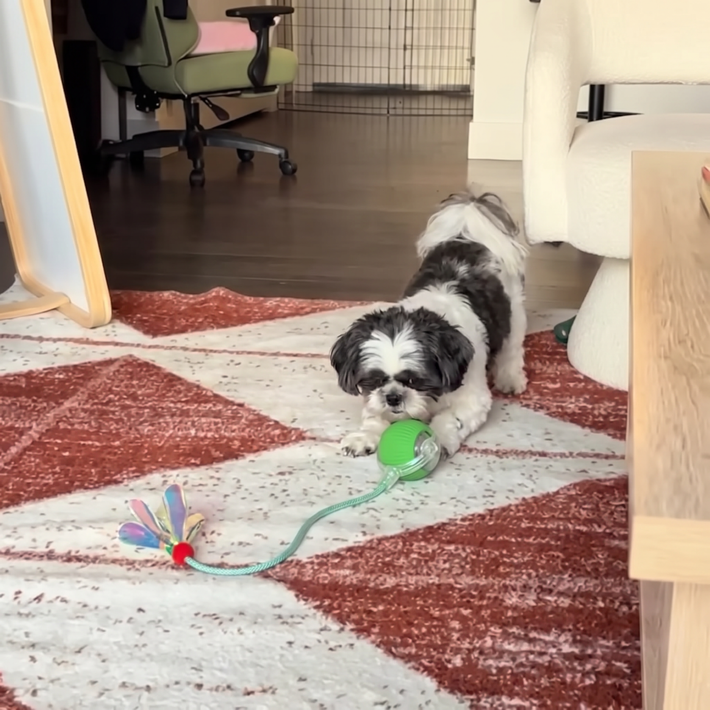 Upgraded Smart Rolling Dog Ball – Durable Interactive Toy with Mesh Tail