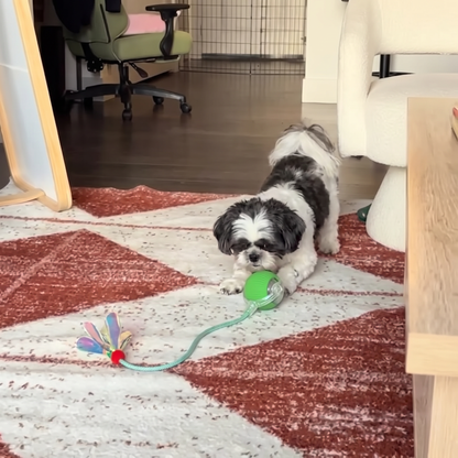 Upgraded Smart Rolling Dog Ball – Durable Interactive Toy with Mesh Tail