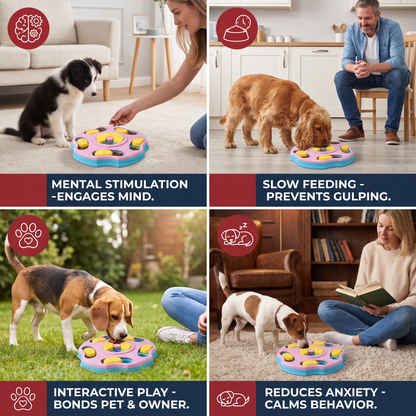 Interactive food puzzle for dogs