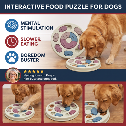 Interactive food puzzle for dogs