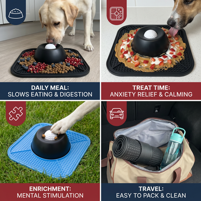 2in1 Slow Feeder Dog Bowl with Lick Mat