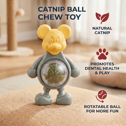 Catnip Ball Chew Toy