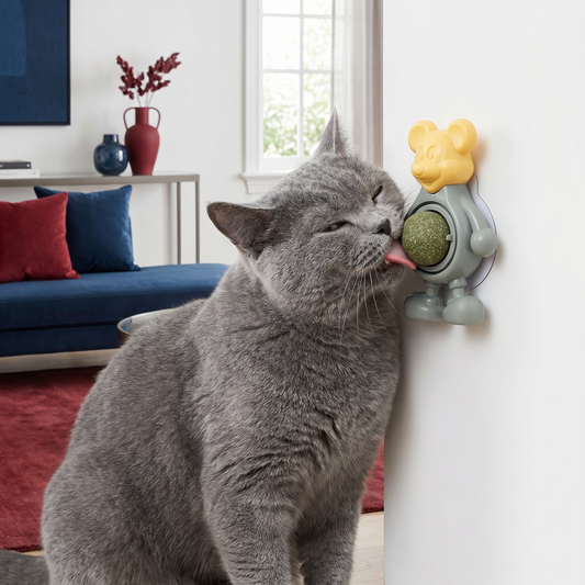 Catnip Ball Chew Toy