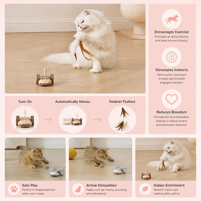 Interactive Cat Toy 3-in-1 – Moving Feather Chase for Active Playtime