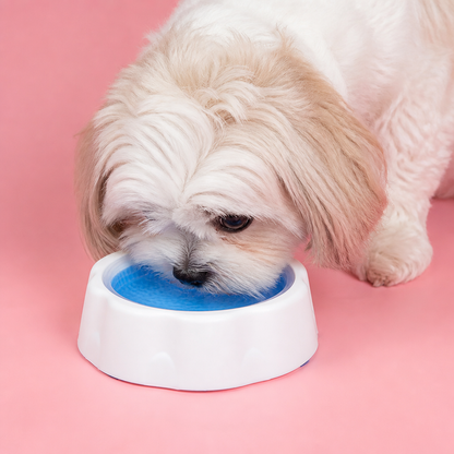 Cooling Pet Water Bowl for Dogs and Cats