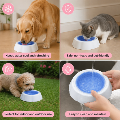 Cooling Pet Water Bowl for Dogs and Cats
