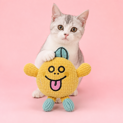 Crinkle Waffle Cat Toy with Catnip Pocket and Squeaky Sound