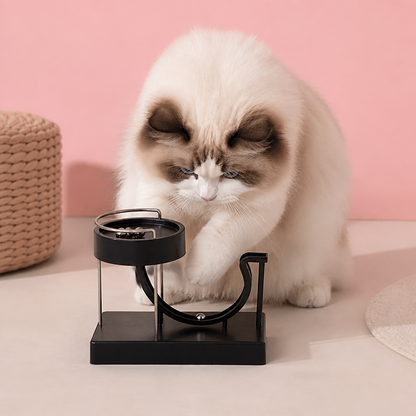 Marble run cat toy for endless fun
