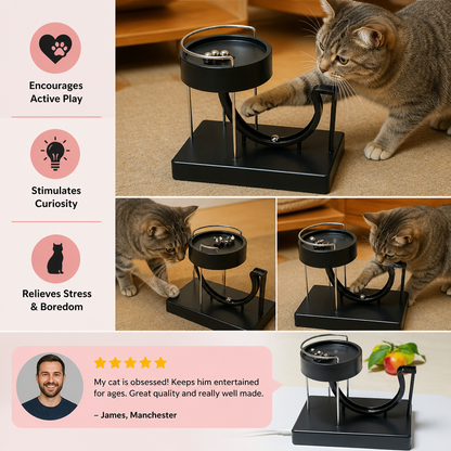 Marble run cat toy for endless fun