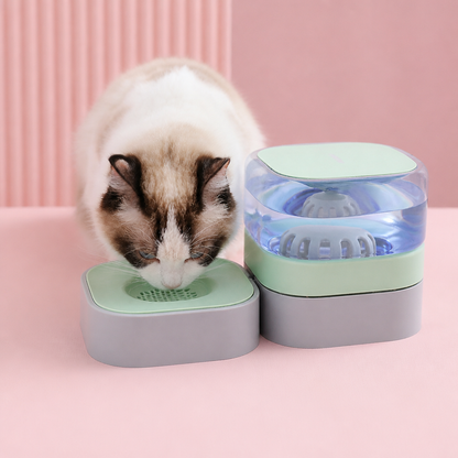 Automatic portable water dispenser for cats