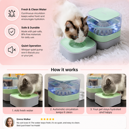 Automatic portable water dispenser for cats