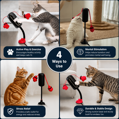 Durable Interactive Cat Boxing Toy with Punching Bag
