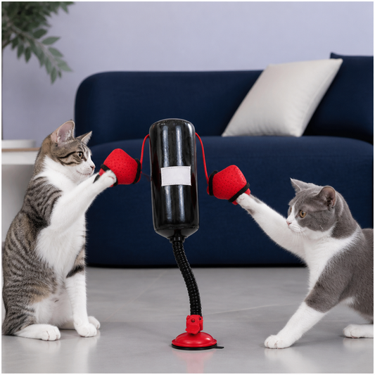 Durable Interactive Cat Boxing Toy with Punching Bag
