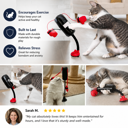 Durable Interactive Cat Boxing Toy with Punching Bag