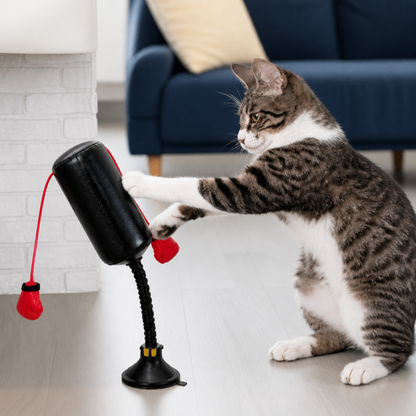 Durable Interactive Cat Boxing Toy with Punching Bag