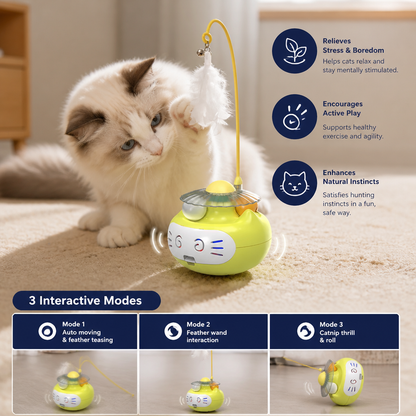 3in1 Interactive Catnip Cat Toy with Feather Wand & Bell