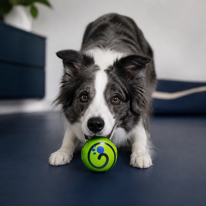 Interactive Squeaky Wobble Dog Ball – Durable Self-Play Toy