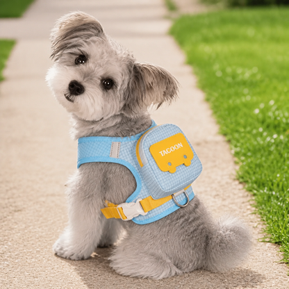 Adjustable Pet Harness with Storage Backpack for Small Dogs and Cats