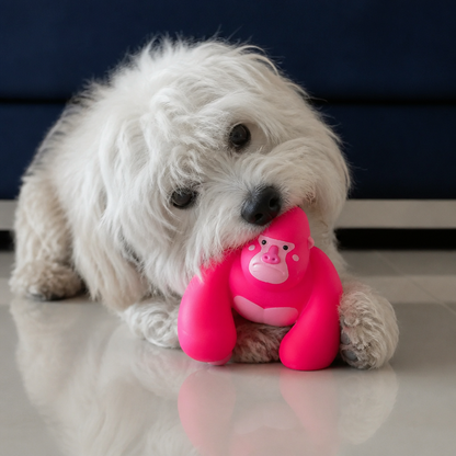 Cute Latex Chew & Squeak Dog Toy