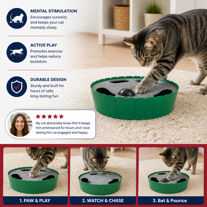 Interactive Hide & Seek Mouse Cat Toy