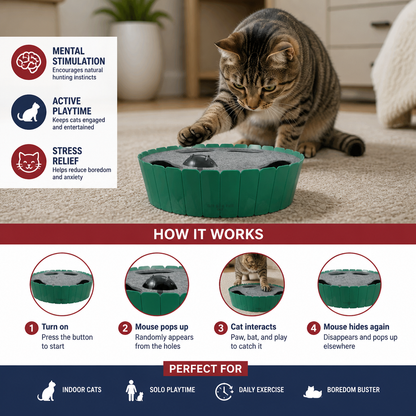 Interactive Hide & Seek Mouse Cat Toy