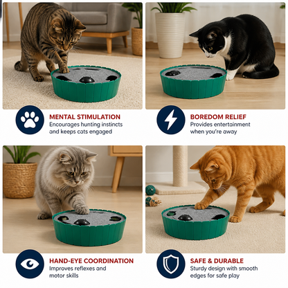 Interactive Hide & Seek Mouse Cat Toy