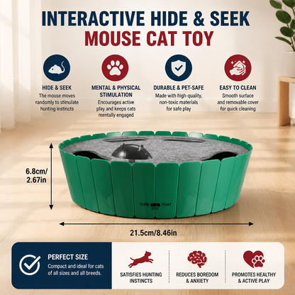 Interactive Hide & Seek Mouse Cat Toy